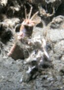PICT0437.jpg