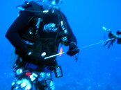 CZM Lionfish1.JPG