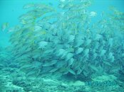 IMG_0070.jpg