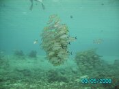 IMG_0082.jpg
