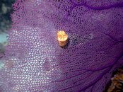 PICT0379.jpg
