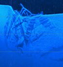 oneida wreck.jpeg
