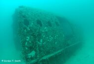 DSC_3174MCsig.jpg