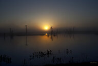 016-Mist-&Light-over-Viera-marsh.jpg