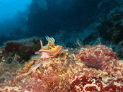 IMG_5953.JPG