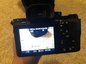 IMG_1123.JPG