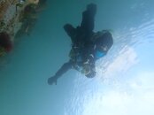 IMG_2772.jpg