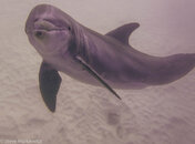 IMG_6143-3.jpg