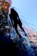 IMG_3334.jpg