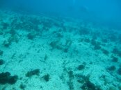 Key Largo - Benwood (33) Vis.jpg