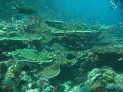 IMG_8454.jpg