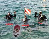 scuba trollsforweb2.jpg