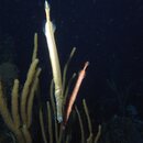 M0010225.jpg