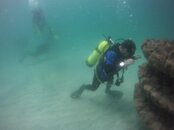 GOPR0330.jpg