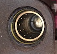 IMG_1241.png