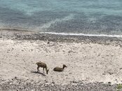 IMG_3241.jpg