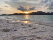 IMG_3317.jpg