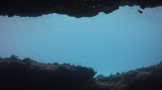 MICR0274.jpg