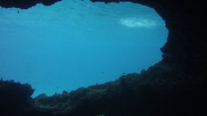 MICR0276.jpg