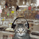 ATT44.gif
