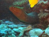 DSC00718.jpg