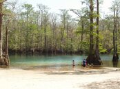Morrison's Springs.jpg