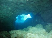 Morrison's Springs 4.jpg
