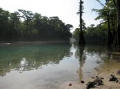 IMG_2043r.JPG