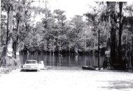 morrison springs 1965.jpg