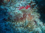 DSC04386.JPG