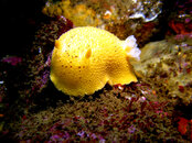 IMG_6458.jpg