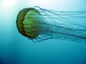 IMG_6464.jpg