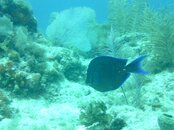 PICT0053.jpg