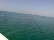 water conditions.jpg