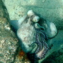PICT0027.JPG
