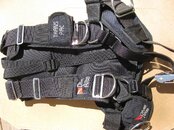 harness.jpg harness.jpg