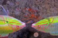 IMG_6001wa.jpg