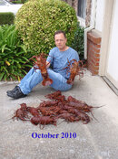 bug2010e.jpg