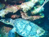 DSCN0509.jpg