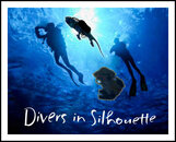 divers silouette-2.jpg