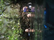 2011 05 27_3490.jpg