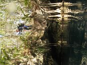 2011 05 27_3474.jpg