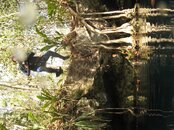 2011 05 27_3475.jpg