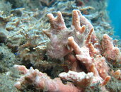 IMG_0427.JPG