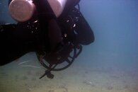 IMG_2564wa.jpg
