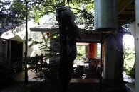 DSC04966.jpg