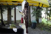 DSC04969.jpg