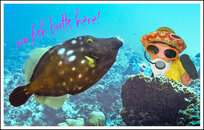 No fish butts here!.jpg