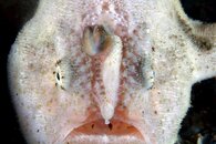 IMG_1055wa.jpg