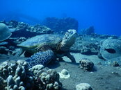 31F5545D-30F8-4E3C-A539-7110BB545900.jpeg